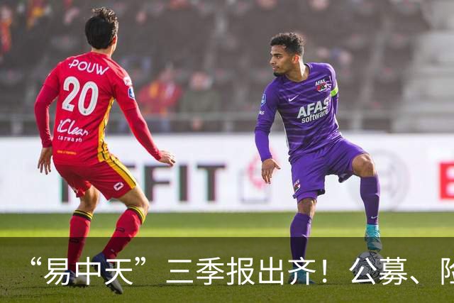 “易中天”三季报出齐！公募、险资加仓