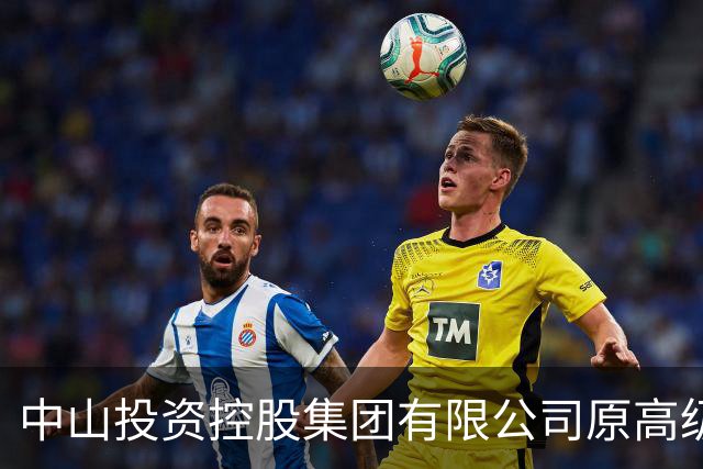 中山投资控股集团有限公司原高级顾问罗锐鸿严重违纪违法被“双开”