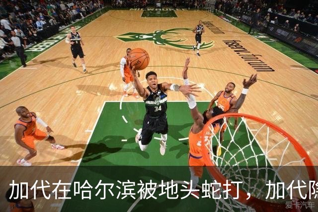 加代在哈尔滨被地头蛇打，加代隐忍不发，三天后哈尔滨高层大换血