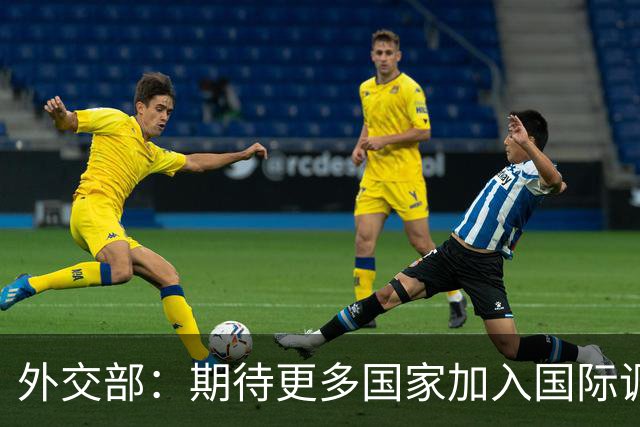 外交部：期待更多国家加入国际调解院