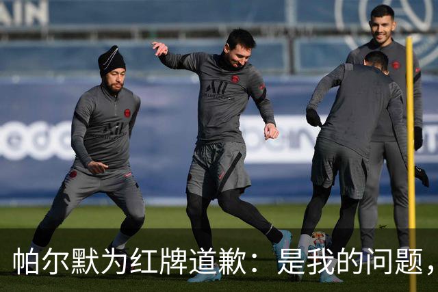 帕尔默为红牌道歉：是我的问题，会吸取教训
