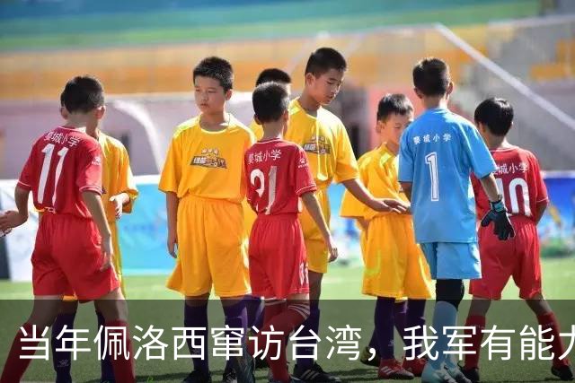 当年佩洛西窜访台湾，我军有能力击落其专机，为何最后没动手？