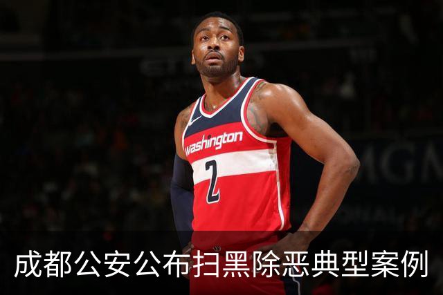 成都公安公布扫黑除恶典型案例