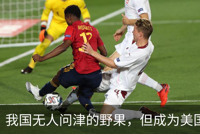 我国无人问津的野果，但成为美国人的心头宝，60元1斤供不应求？
