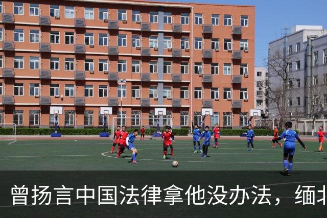 曾扬言中国法律拿他没办法，缅北魏家陈大卫最终被制裁，结局大快人心