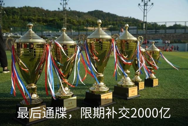 最后通牒，限期补交2000亿