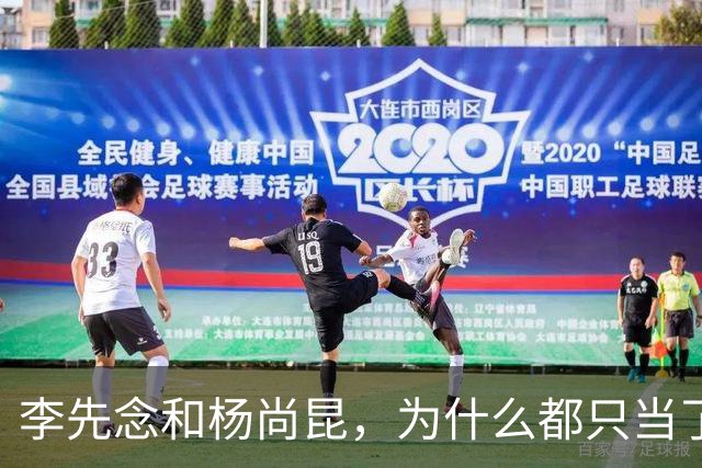 李先念和杨尚昆，为什么都只当了一届国家主席？