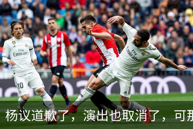 杨议道歉了，演出也取消了，可那句“误会”什么都没解决。