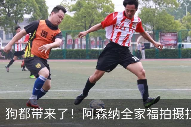 狗都带来了！阿森纳全家福拍摄拉布拉多到场 却没通知萨利巴