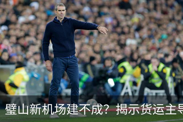 璧山新机场建不成？揭示货运主导的背后真相！