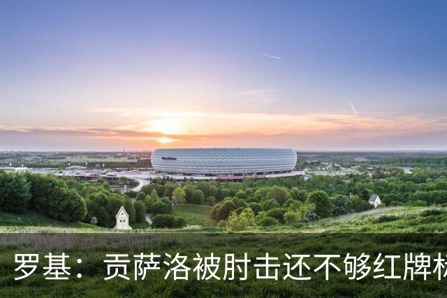 罗基：贡萨洛被肘击还不够红牌标准，但这个动作对球员有危险