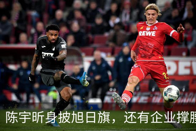 陈宇昕身披旭日旗，还有企业撑腰，汤家凤怒喊露头就打