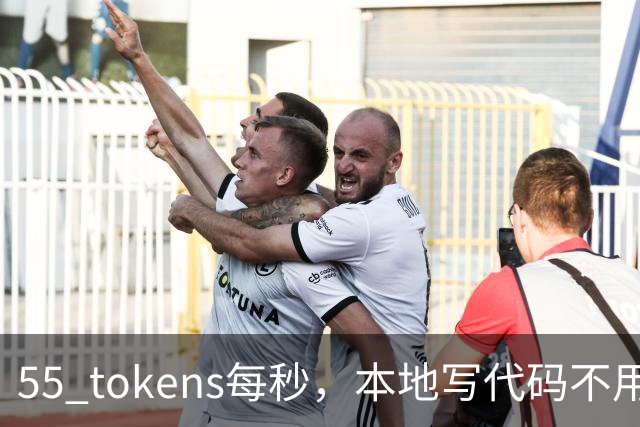 55 tokens每秒，本地写代码不用再烧token了