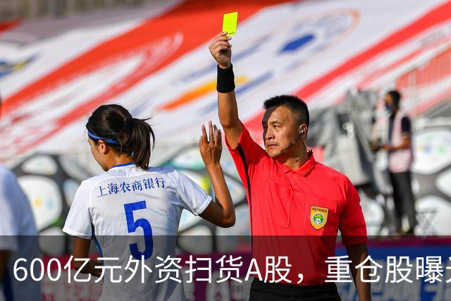 600亿元外资扫货A股，重仓股曝光