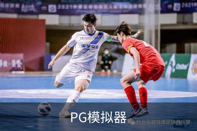 PG模拟器公司简介